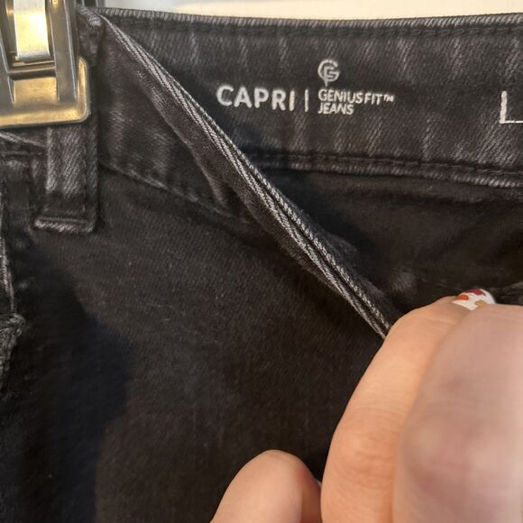 Lane Bryant Genius Fit Capri Stretch Size 22 Dark Wash Distressed Classic - Picture 3 of 7